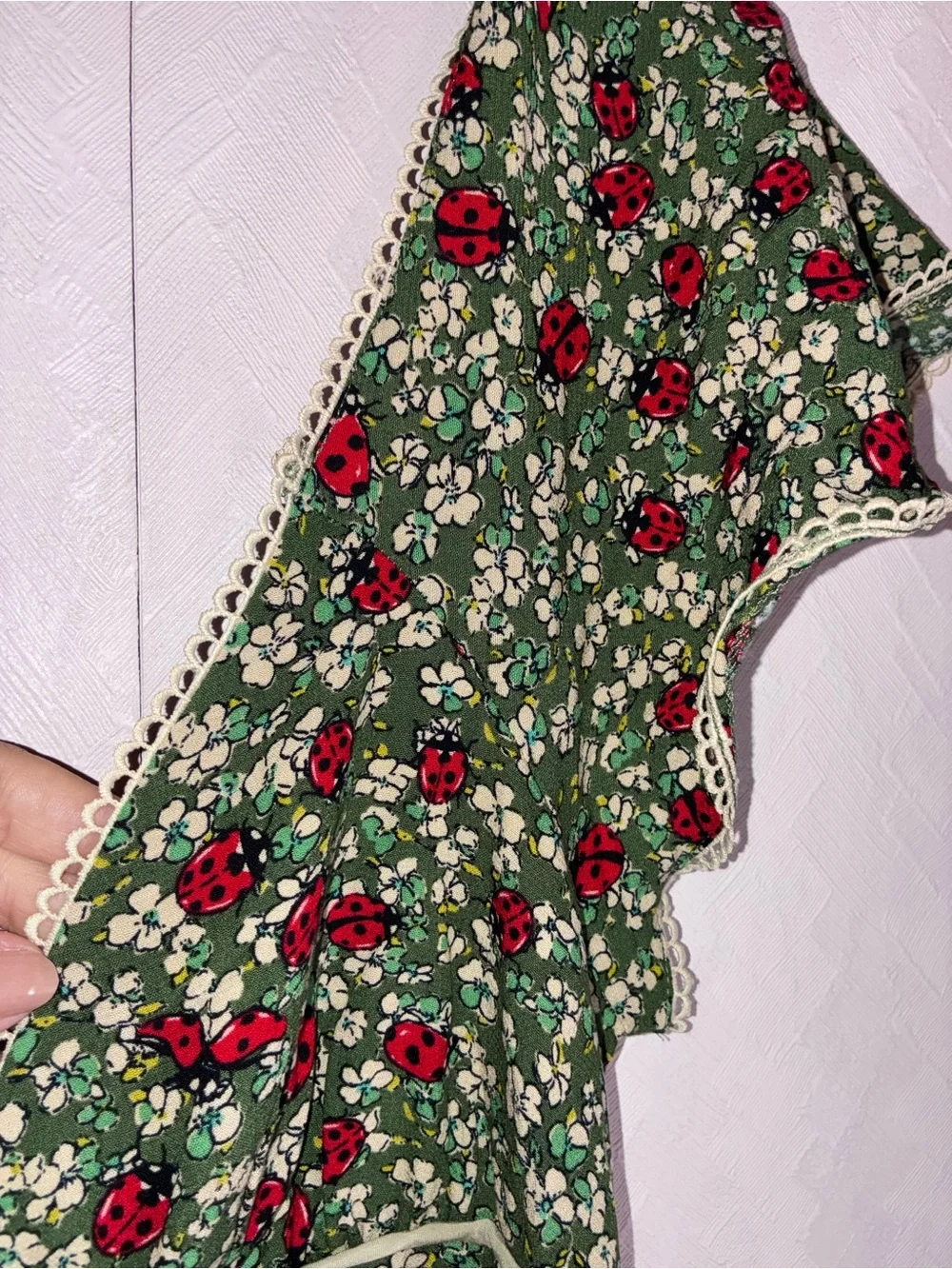 Free People Backroads Mini Dress 
(The ladybug dress 🐞) - Picture 9 of 13
